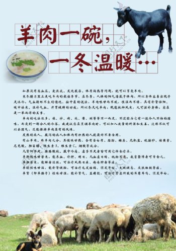 羊肉汤生态海报