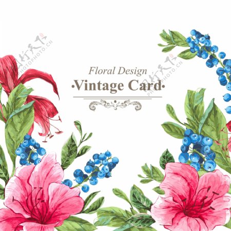 复古水彩绘花卉卡片矢量素材