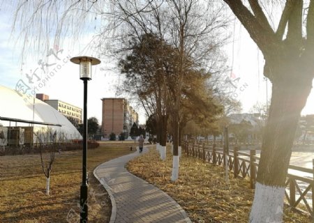 涿州某大学摄影图