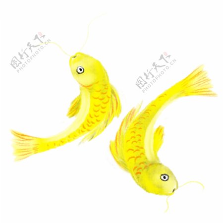 手绘黄色金鱼插画