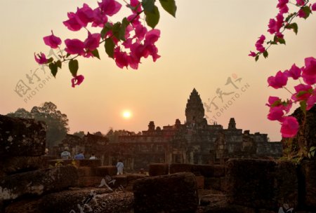 柬埔寨吴哥窟落日与繁花