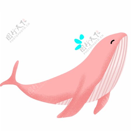 粉色卡通鲸鱼插画