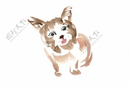 好奇的小猫水彩画PNG免抠素材