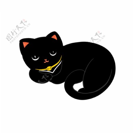 趴着休息的可爱小黑猫