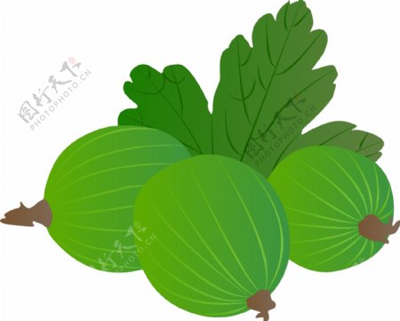 手绘插画食物蔬菜可商用