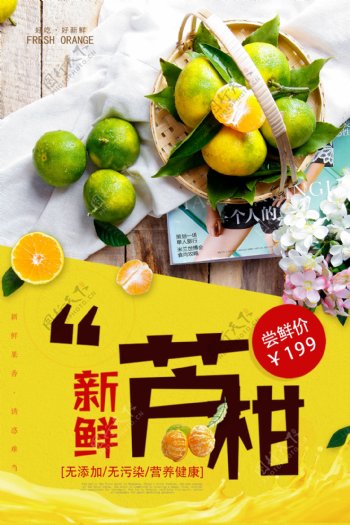 大气时尚新鲜芦柑水果促销海报