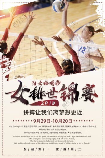 女排世锦赛宣传海报