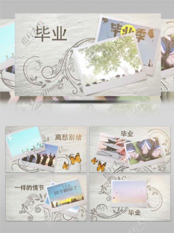 清新花纹蝴蝶飞舞毕业季相册展示AE模板