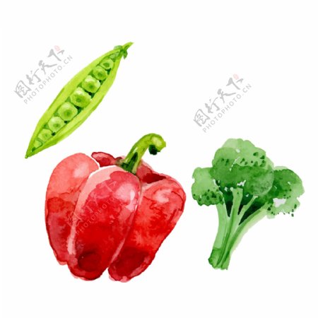 卡通绿色蔬菜png元素