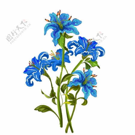 手绘水彩清新蓝色花卉
