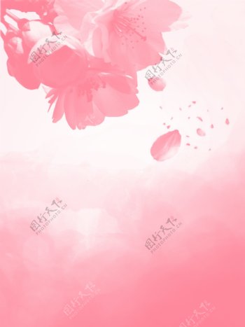春天清晰桃花粉色图花瓣广告背景图