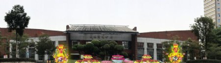 三角梅节日氛围国庆春节