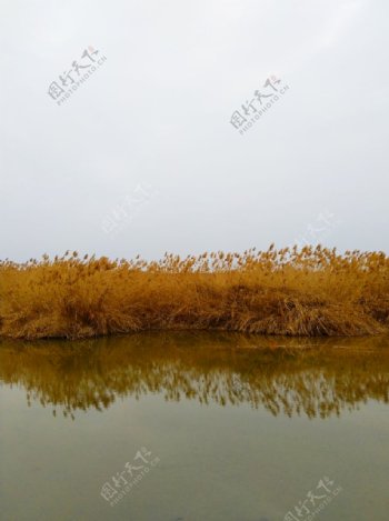 深秋时节的河道美景