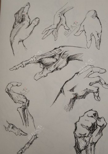 手部结构绘画习作