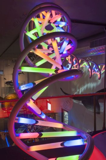 DNA螺旋状灯光