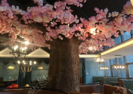 餐饮樱花树