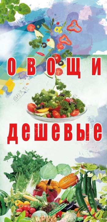俄文蔬菜招牌牌匾