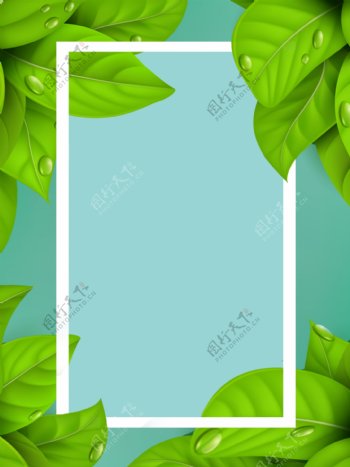 立体绿色自然清新叶片相框背景图