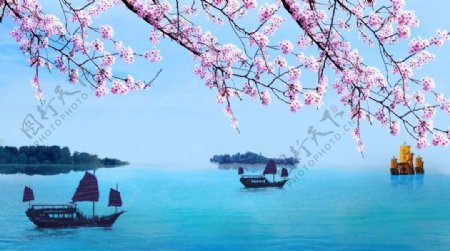 太湖樱花帆船