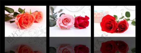 玫瑰花浪漫花朵无框画