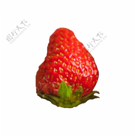一个新鲜的草莓png