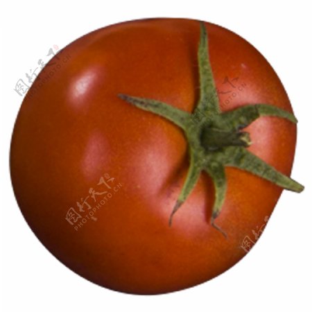 西红柿实物拍摄png