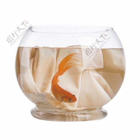 玻璃透明金鱼缸实物