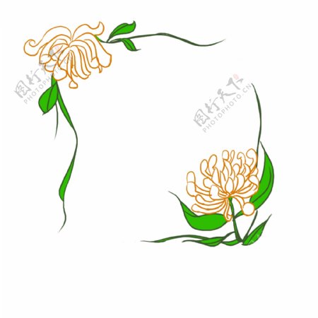 菊花植物花卉花束边框插画