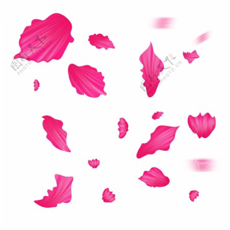 手绘粉红色可爱花瓣