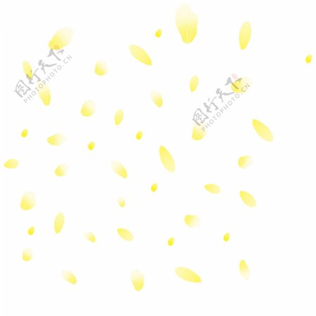 手绘黄色花瓣插画