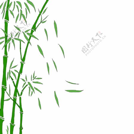 随风飘落的绿色竹叶