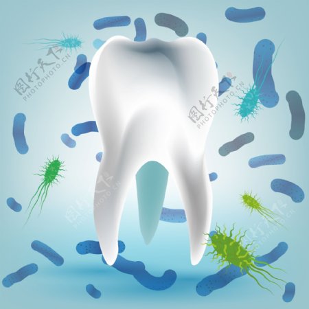 牙齿细菌微生物