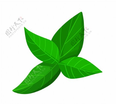 绿色的叶子装饰插画
