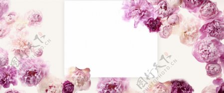 小清新唯美花朵边框粉色浪漫海报