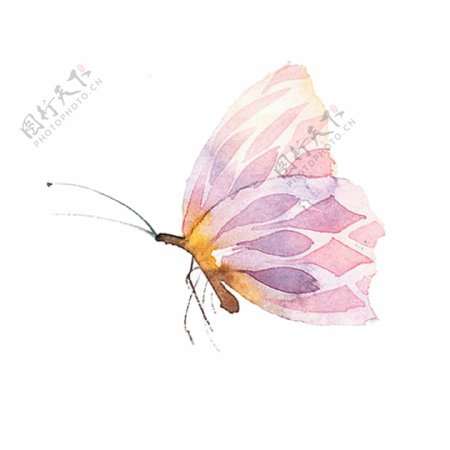 手绘彩色蝴蝶设计元素