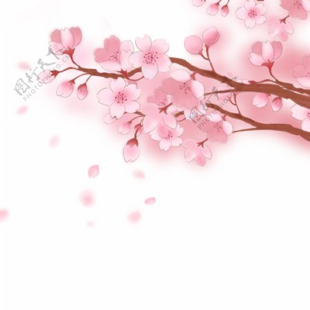 樱花树樱花节春天手绘装饰免扣