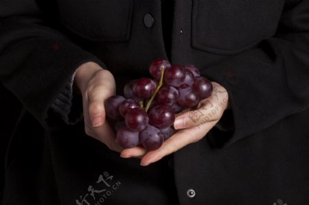 实物图摄影图香甜可口新鲜水果葡萄