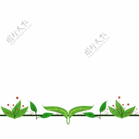 绿叶植物分割线插画