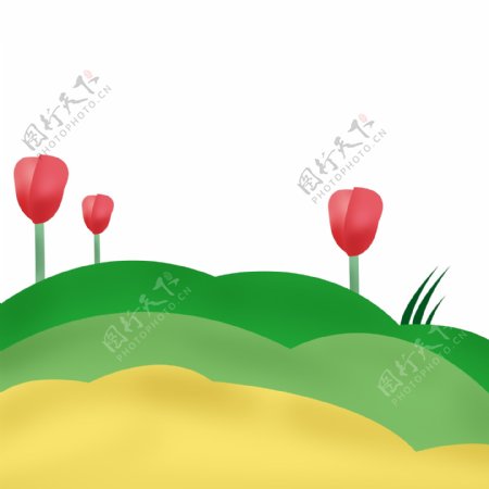 绿色草地红色郁金香