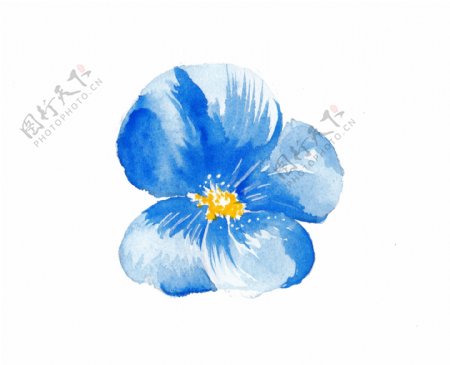 水彩手绘蓝色花朵png
