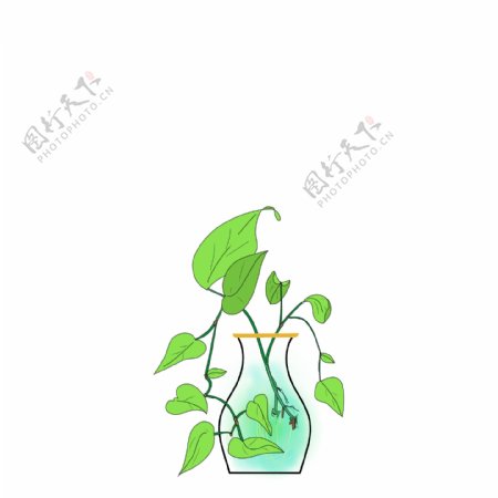 原创花瓶水培绿萝植物手绘风简约小清新元素