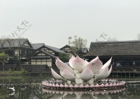 无锡拈花湾五灯湖莲花灯