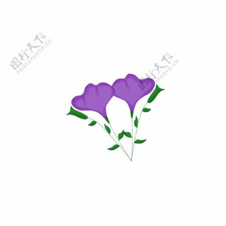 美丽的紫色花朵儿