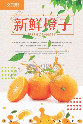 新鲜橙色橙子海报