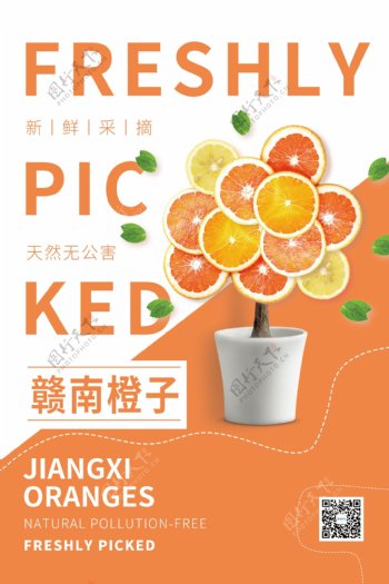 赣南橙子水果促销宣传海报