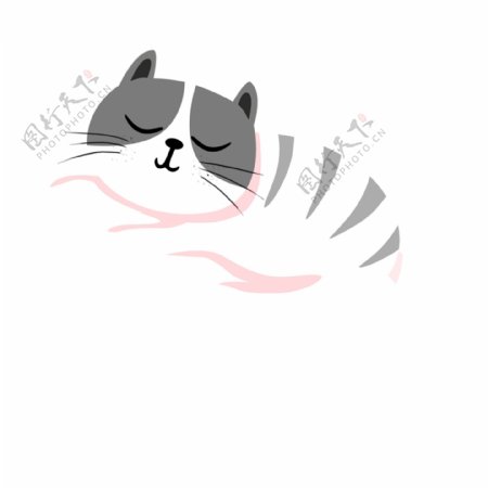 灰白色睡觉猫猫动物