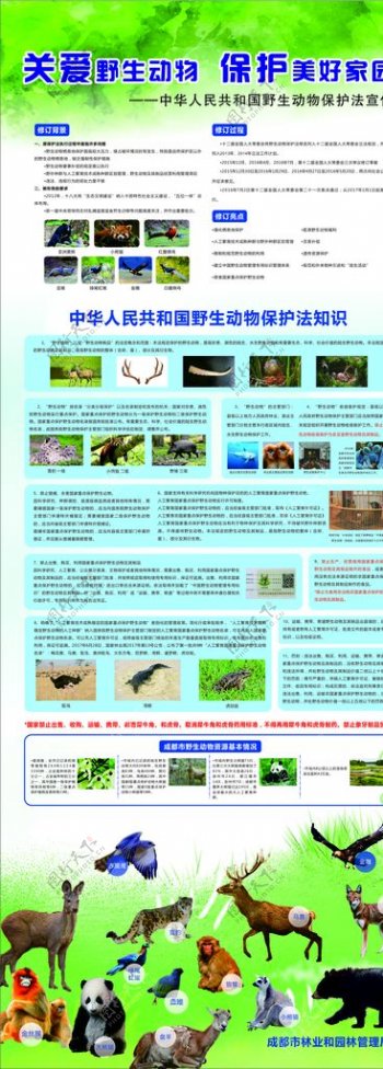 野生动物保护法宣传展架