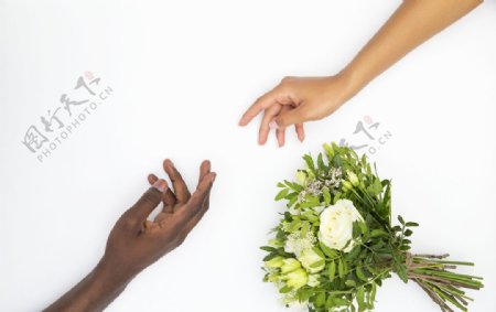白色玫瑰花束和手