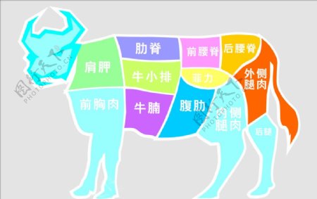 牛肉位置图