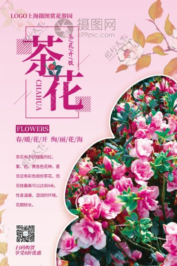大气茶花春季赏花促销海报